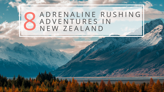 8 Adrenaline Rushing Adventures in New Zealand